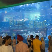 01dubai036