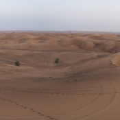 01dubai019