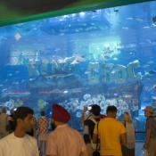 01dubai036