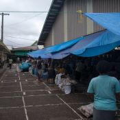 fiji002