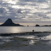 fiji020