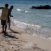 fiji041