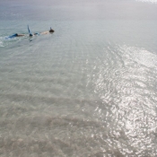 fiji084