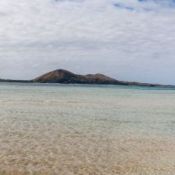 fiji099