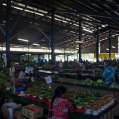 fiji001