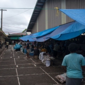 fiji002