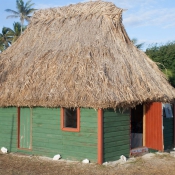 fiji023