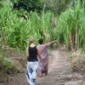 fiji027