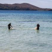 fiji038