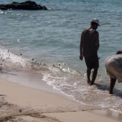 fiji040