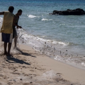 fiji041