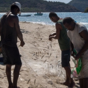 fiji042