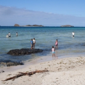 fiji048
