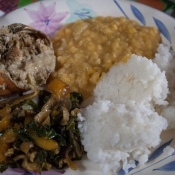 fiji053