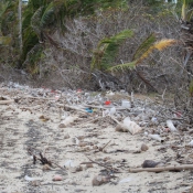 fiji058