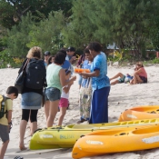 fiji083