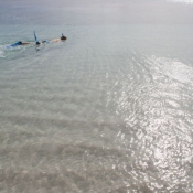 fiji084