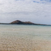fiji099