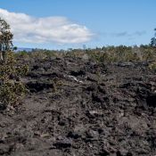 02bigisland017