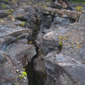 02bigisland036