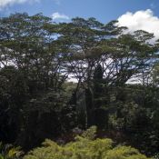 02bigisland046