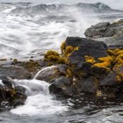 02bigisland064