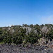 02bigisland107