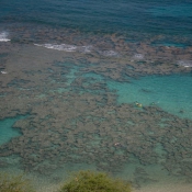 01oahu008