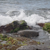 01oahu024