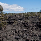 02bigisland017
