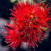 02bigisland018