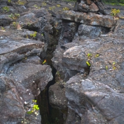 02bigisland036