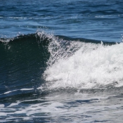 02bigisland043
