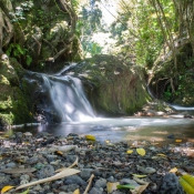 02bigisland044