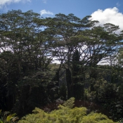 02bigisland046