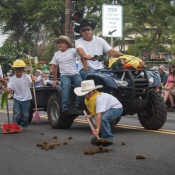 02bigisland054