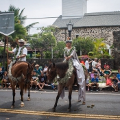 02bigisland057