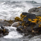 02bigisland064