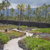02bigisland074