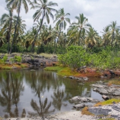 02bigisland075