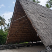 02bigisland078