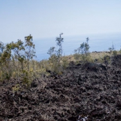 02bigisland104