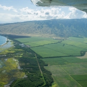 03maui002