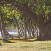 03maui031