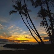 03maui032
