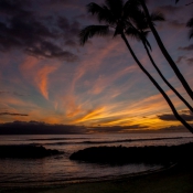 03maui036