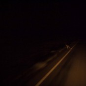 07alice_nach_cairns012