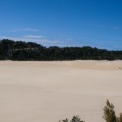 08fraser_island007