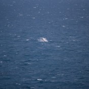 08fraser_island020