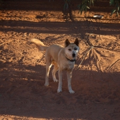 06alice_springs001